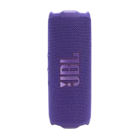 JBL Flip 7 Portable Speaker